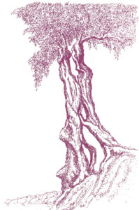 Oliebe aufbau