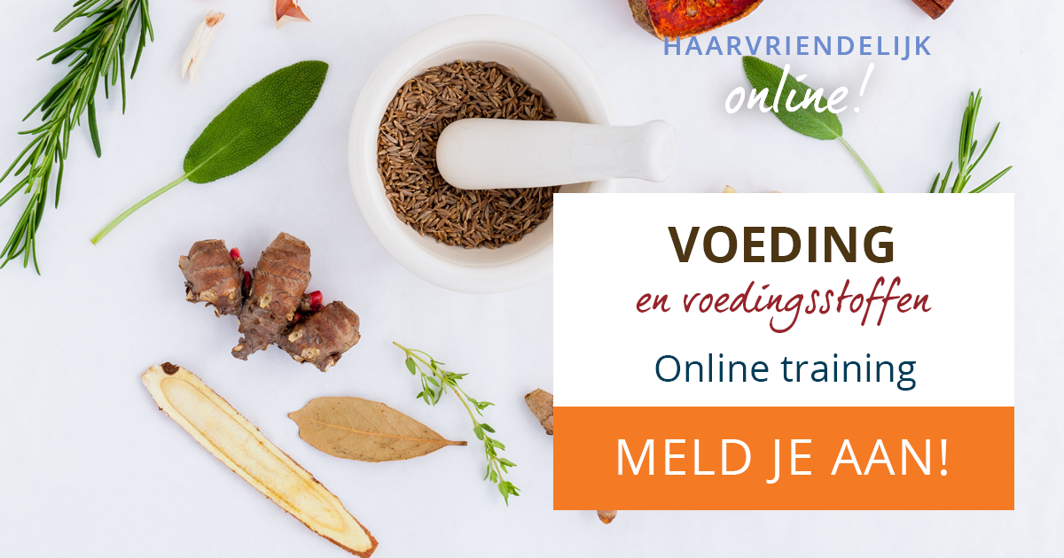 Banner nascholing ‘Voeding en voedingsstoffen voor de Haarvriendelijke Kapper’